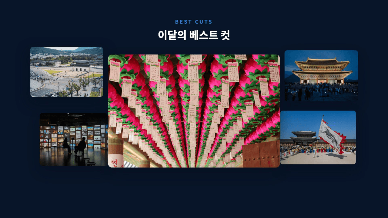 잘 고른 사진은 이런 하이라이트 장면으로 모입니다